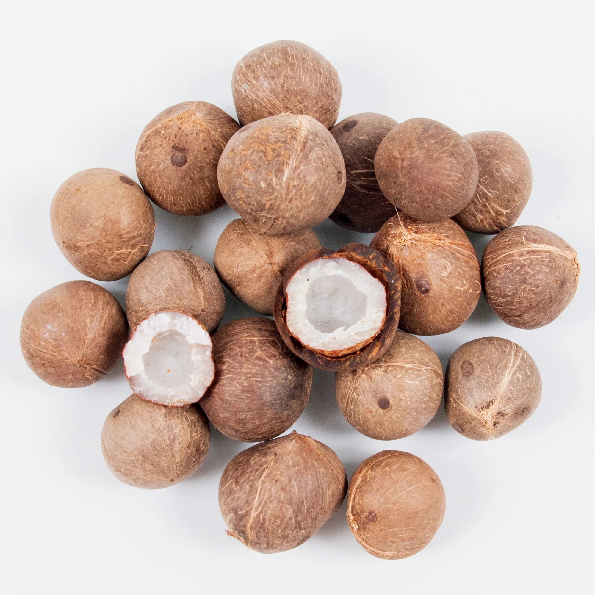 Noix de Coco import export Maroc B2B grossiste palette commande gros