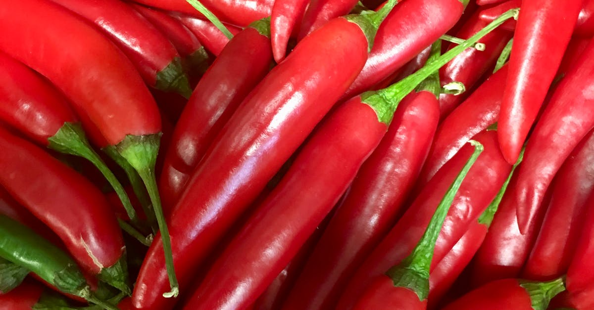 Kappy Peppers poivrons Maroc export import B2B Souss-Massa fournisseur
